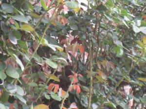 Focus towards the center of the photo to see a Mom.