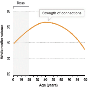 Why teenagers do what they do
