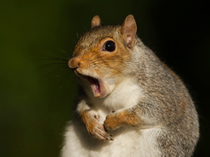 Credit: MedPage Today