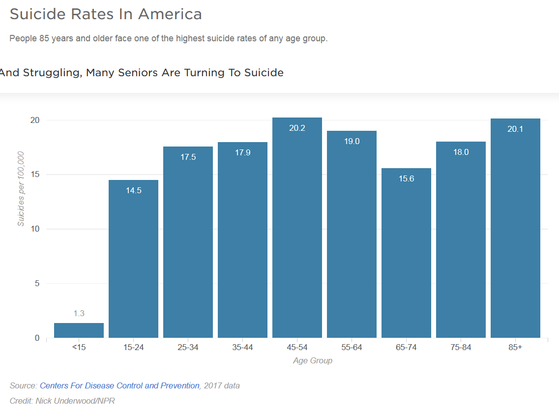 Screenshot_2019-07-27 Isolated And Struggling, Many Seniors Are Turning To Suicide(1)