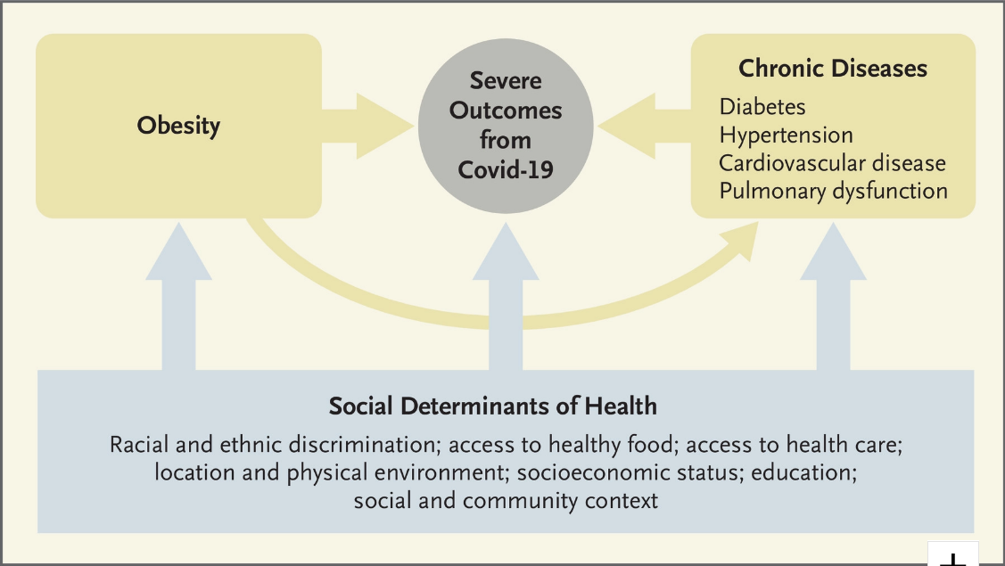 Screenshot_2020-07-19 Covid-19 and Disparities in Nutrition and Obesity NEJM